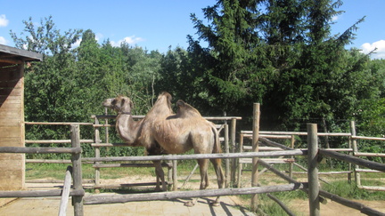 Zajezd09