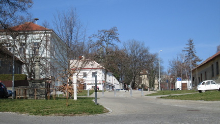 Prosek16